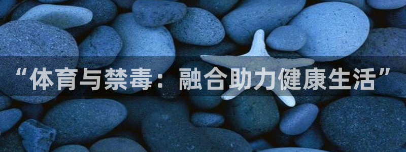 “体育与禁毒：融合助力健康生活”