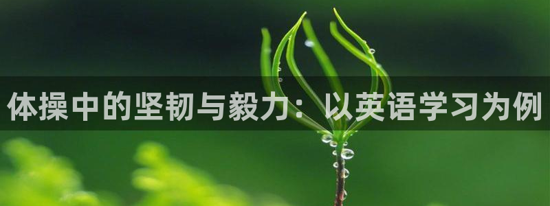 体操中的坚韧与毅力：以英语学习为例